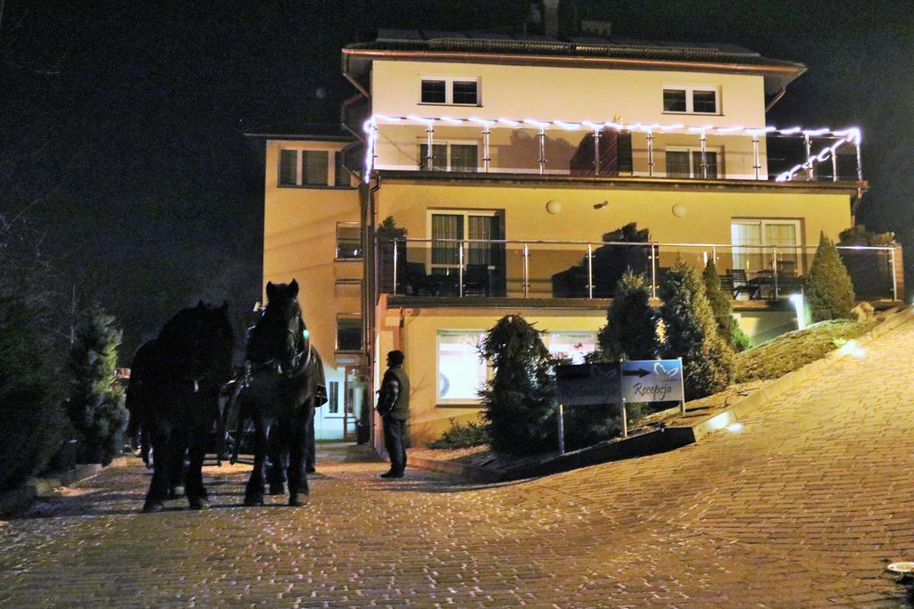 Willa Pod Skrzydlami Hotel Międzybrodzie Bialskie Exterior foto